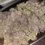 Насіння конопель FASTBERRY Auto від Fast Buds
